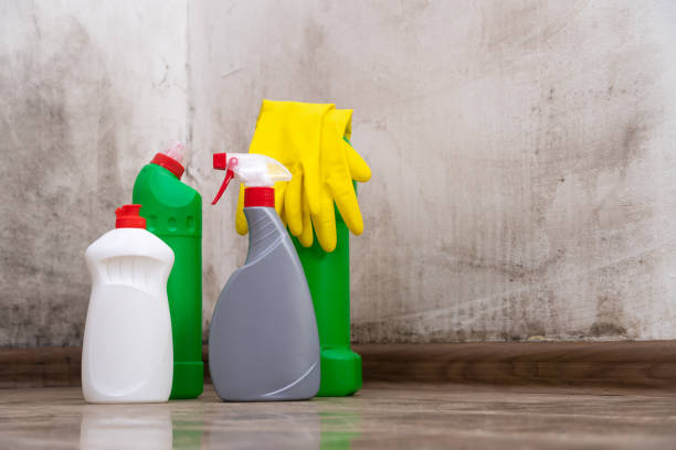 Reliable Whitefish Bay, WI Mold Removal Solutions